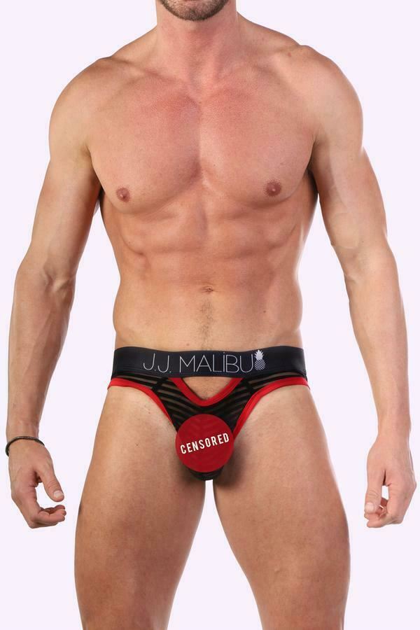 JJ MALIBU Sheer Stripped Gotham Briefs 2