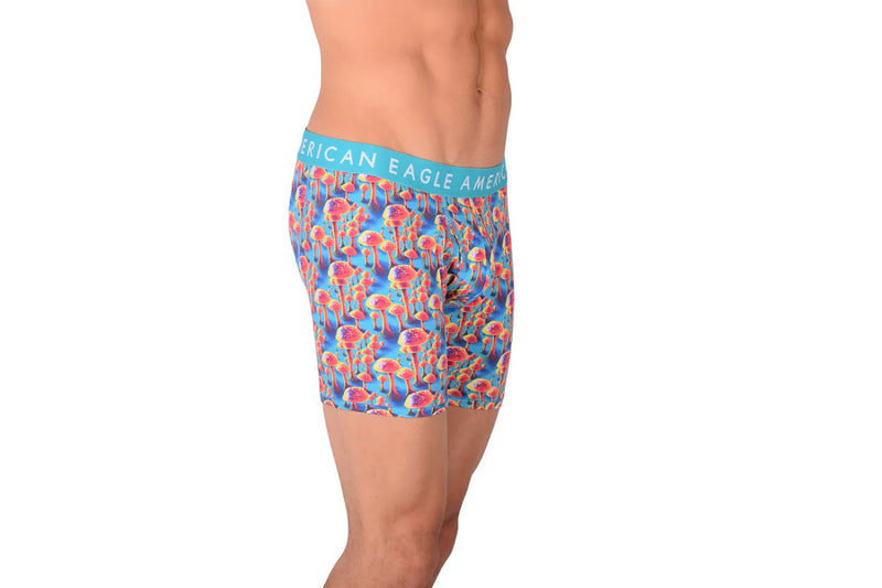 American Eagle Mushroom Print Fly Front Boxer Brief AE1