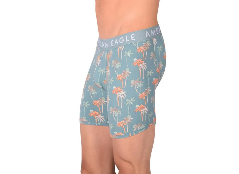 Medium Boxer  American Eagle With Fly Front Palm Trees AE1