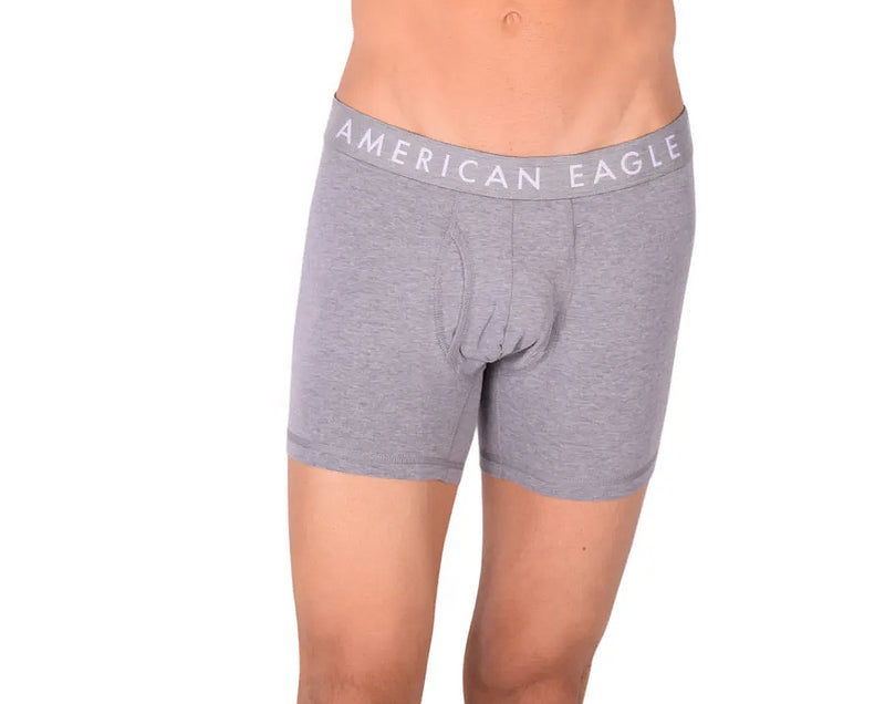 Medium Long Boxer American Eagle Fly Front Boxer Brief Grey AE1