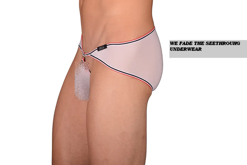 XS Gregg homme Unique Design Sheer Brief MX22 100112