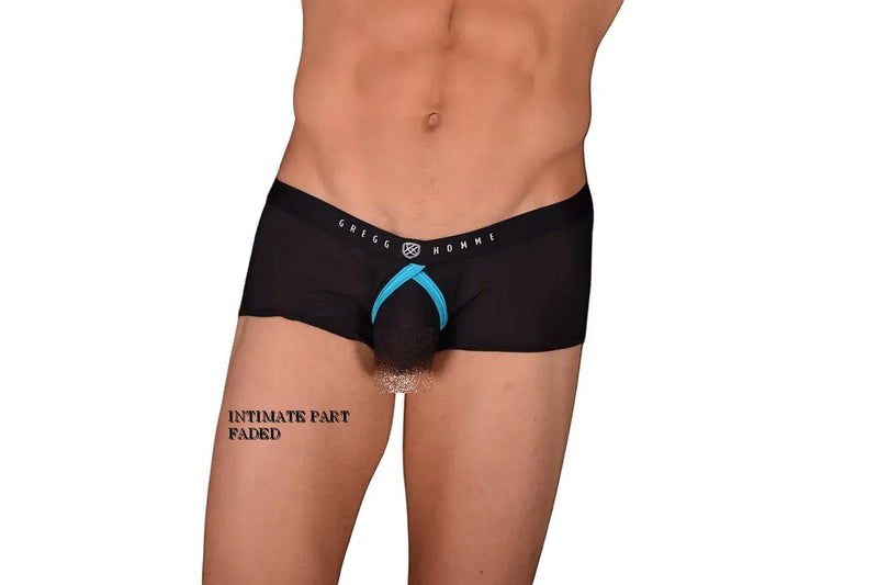 Small Gregg Homme Fake-It Enhancer Mesh Hipster Boxer Black Aqua 122005 C22 3031
