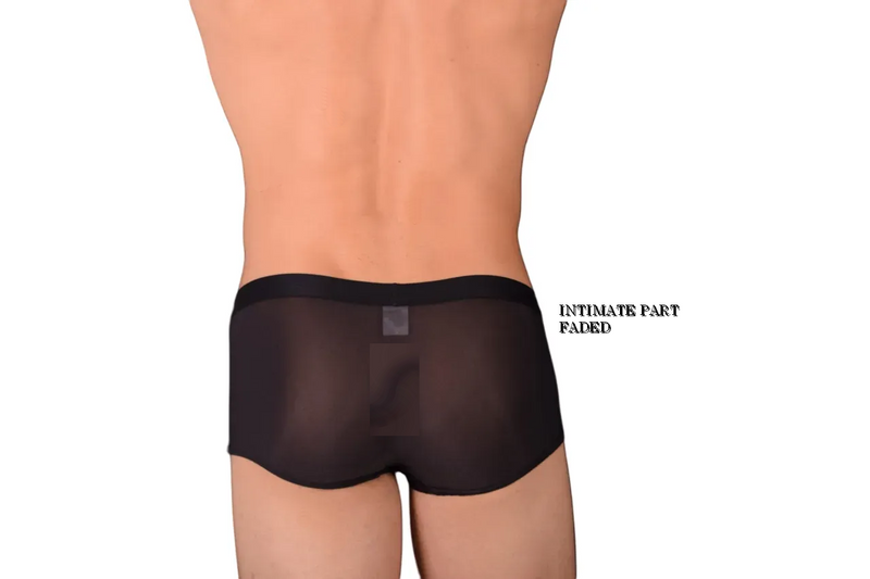 Small Gregg Homme Fake-It Enhancer Mesh Hipster Boxer Black Aqua 122005 C22 3031