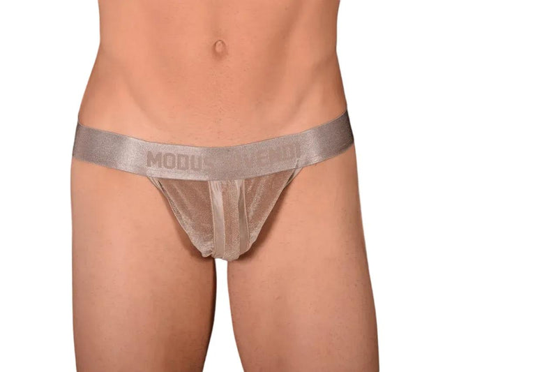 Small Modus Vivendi Golden Brief 154B