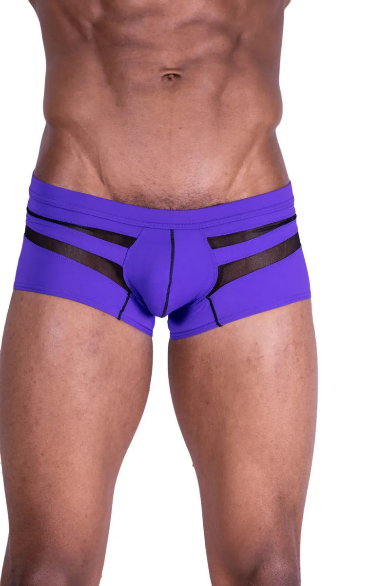 Medium Gregg Homme Swim Shorts Purple Black 60015 MX23
