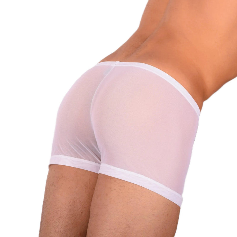 2XS/XS SMU Tanning Walking around C - Thru White Mini Boxer MX19 340322
