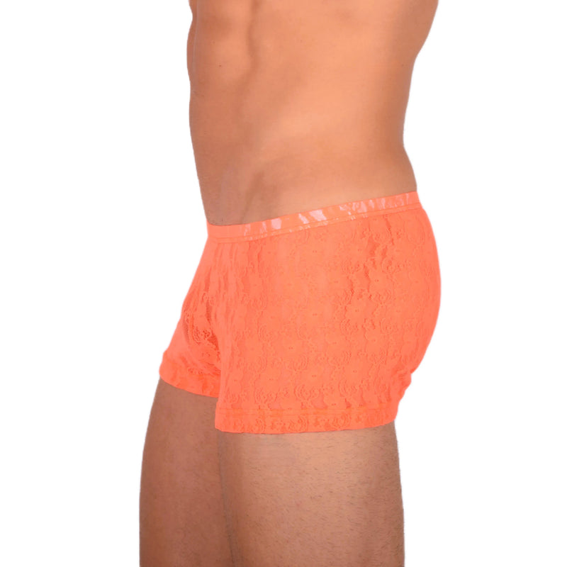XS/S SMU bronzant Mini boxer orange transparent MX19 34037