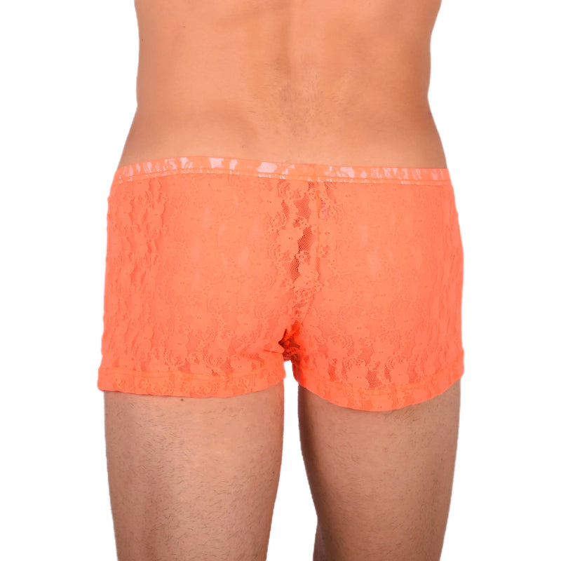 XS/S SMU bronzant Mini boxer orange transparent MX19 34037