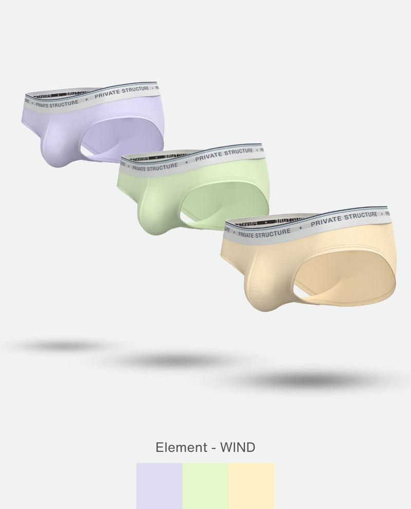 3pcs PRIVATE STRUCTURE Elements Wind Mini Briefs Trio Lavender Mint Jasmine 43952