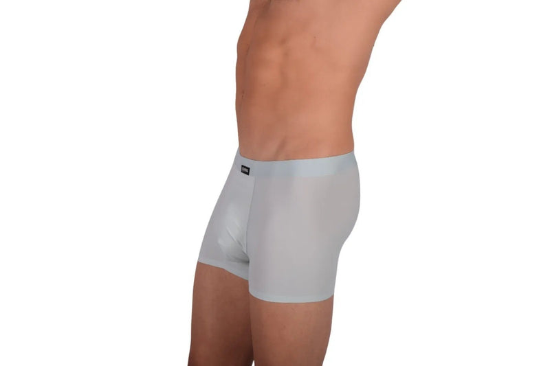 SMU ICY Boxer Briefs Paneled Liquid Boxer in Sky Mint 105605 21