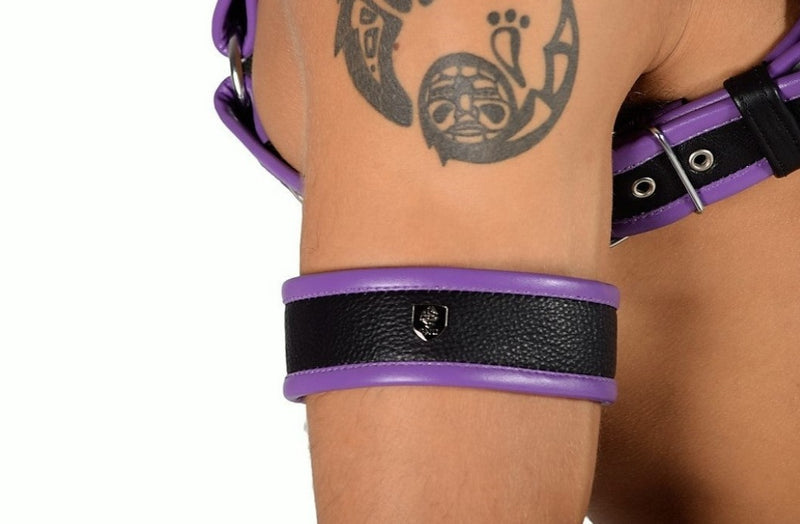 SMU  Adjustable Purple Black Leather Jockstrap and Harness CH32 100502