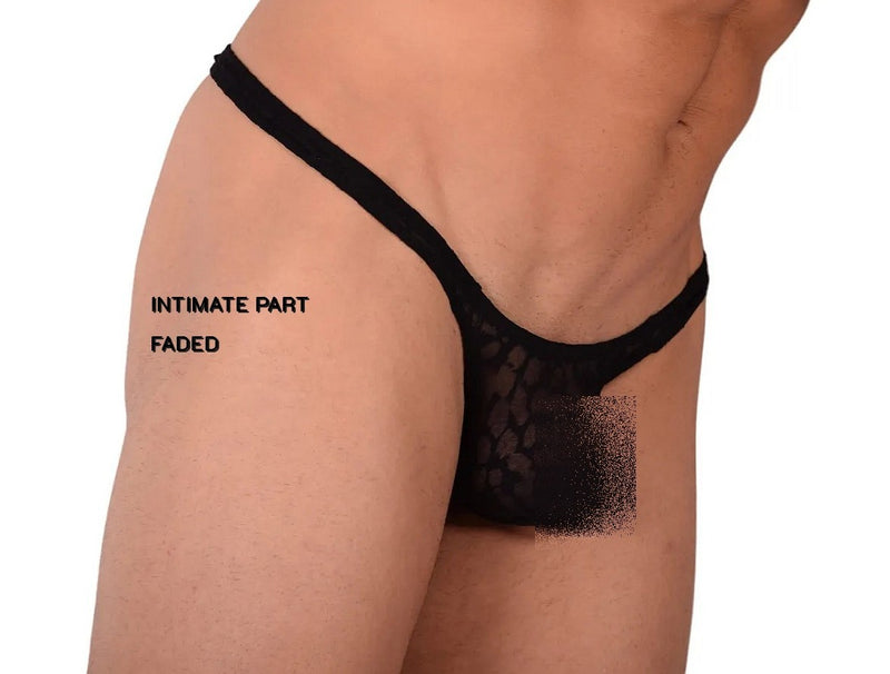 Medium Gregg Homme Thong Teaser Black 3054 C22