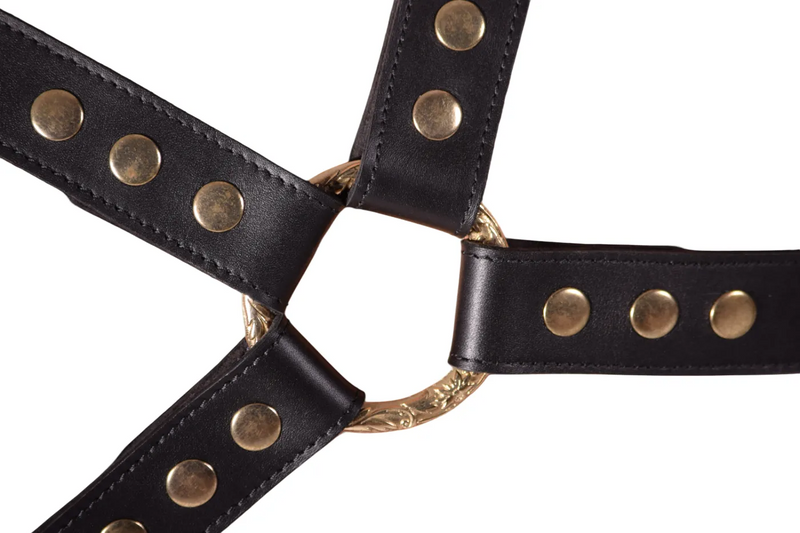 SMU Roman Adjustable Black Leather and Brass decoration harness MX25 8021