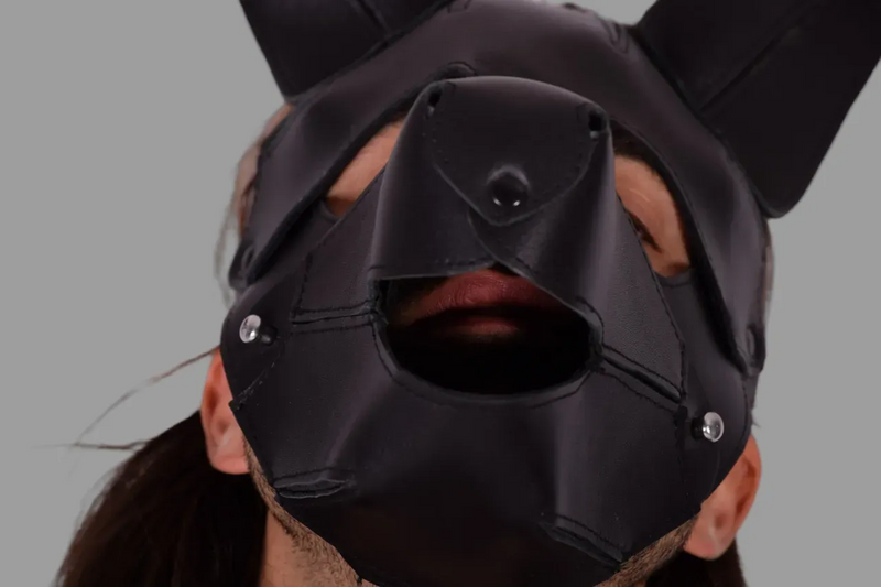 Masque à capuche pour chiot en cuir SMU avec muselière amovible Noir sx11