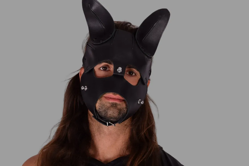 Masque à capuche pour chiot en cuir SMU avec muselière amovible Noir sx11