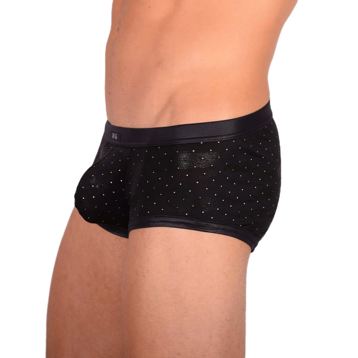 Gregg Homme Adonis Boxer 1100 11