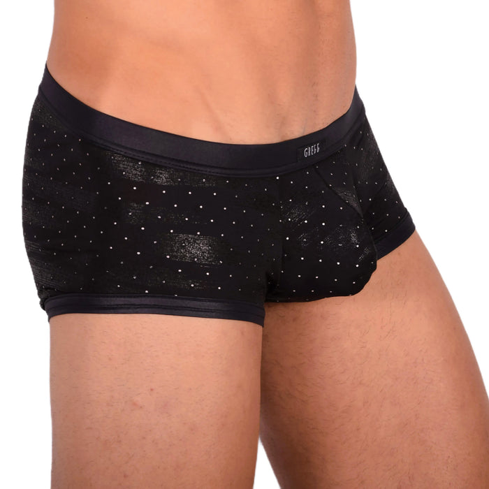 Gregg Homme Adonis Boxer 1100 11