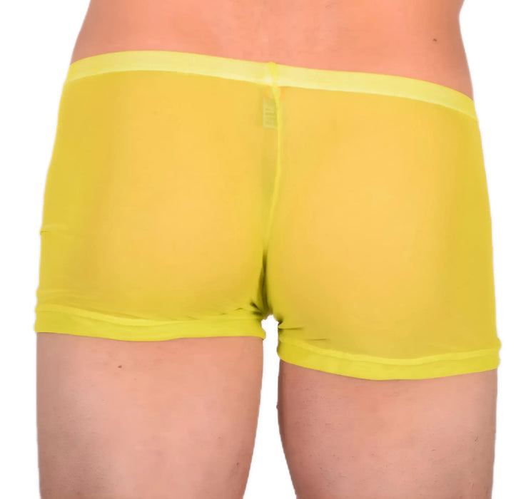 XXS/XS Mini Boxer C-Thru Yellow 33552 MX13