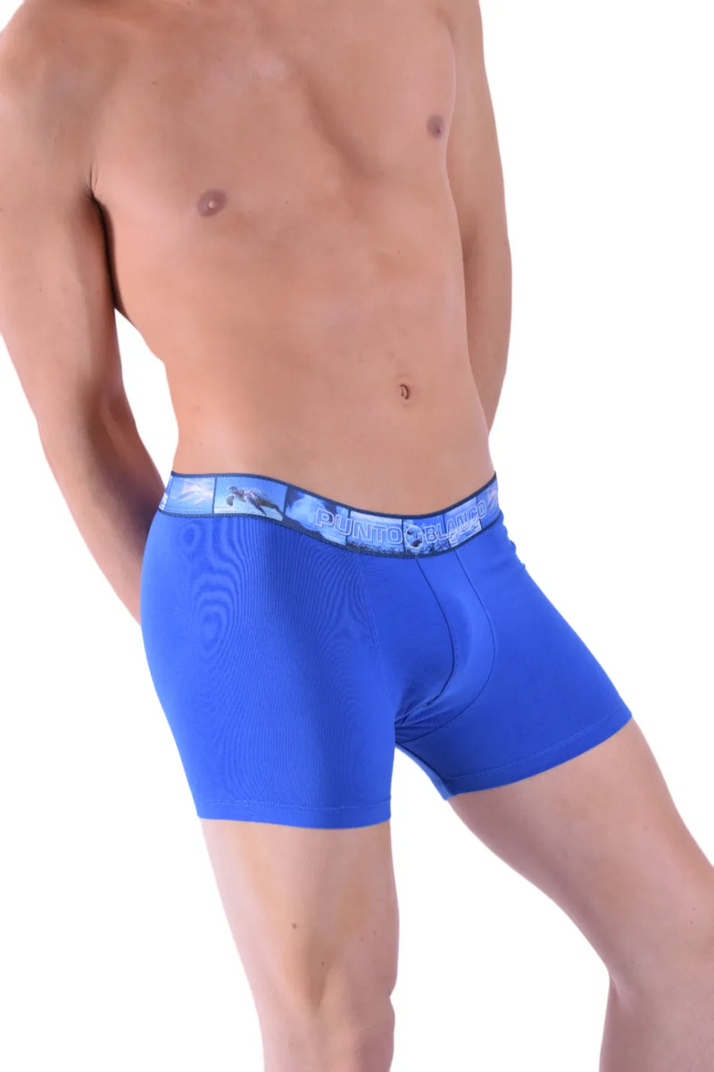 Punto Blanco Boxer Water Seas Boxer Coton Bio Bleu 3388 11