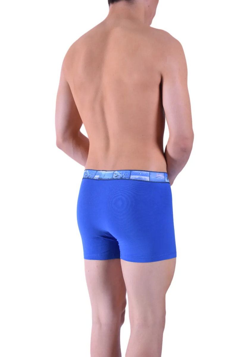 Punto Blanco Boxer Water Seas Boxer Coton Bio Bleu 3388 11