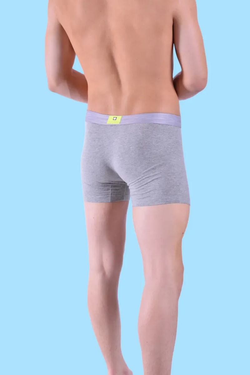Punto Blanco Boxer Seeking Cotton Long Comfy Boxers Gray & Neon 3458 26