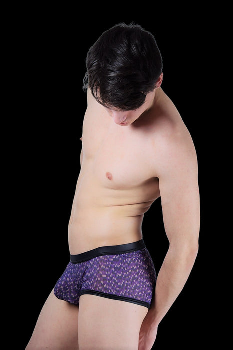 Gregg Homme Mini Boxer Second skin Purple 143005 14