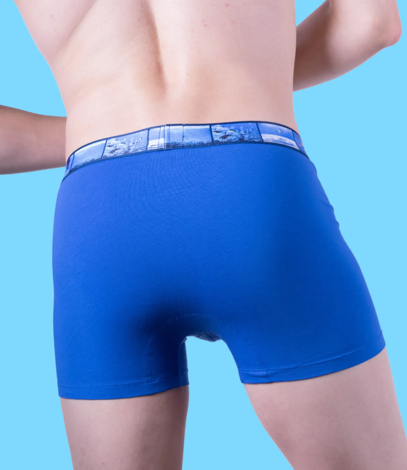 Punto Blanco Boxer Water Seas Boxer Coton Bio Bleu 3388 11