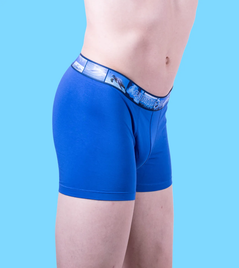 Punto Blanco Boxer Water Seas Boxer Coton Bio Bleu 3388 11