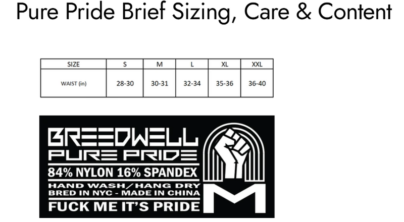 BREEDWELL Pure Pride Briefs Holographic Foil Rainbow Chevron 7