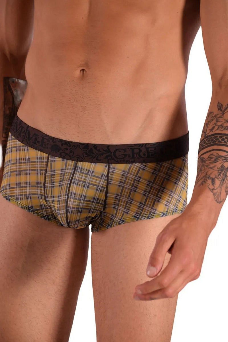 Gregg Homme Boxer Brief Rodeo Mens Sexy Boxer Jaune 112605 3
