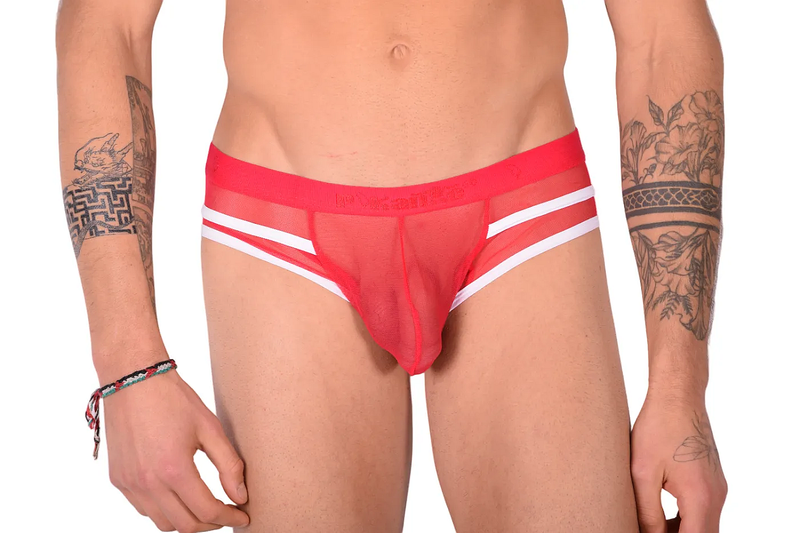 PIKANTE Harness Briefs Low-Rise Stretch Sensual See-Through Brief Red 0495 1