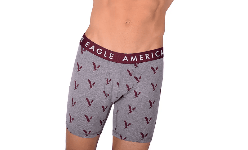 American Eagle Grey Eagles Fly Front Boxer Brief AE14