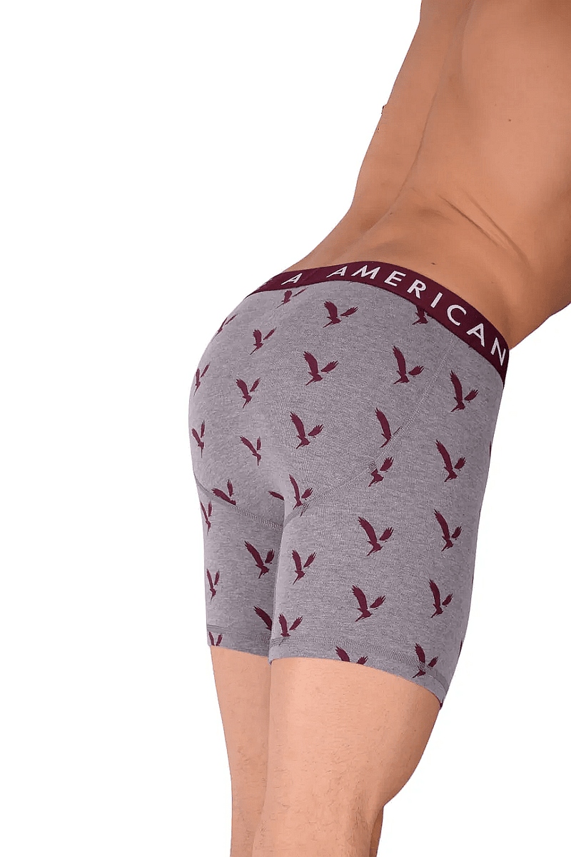 American Eagle Grey Eagles Fly Front Boxer Brief AE11