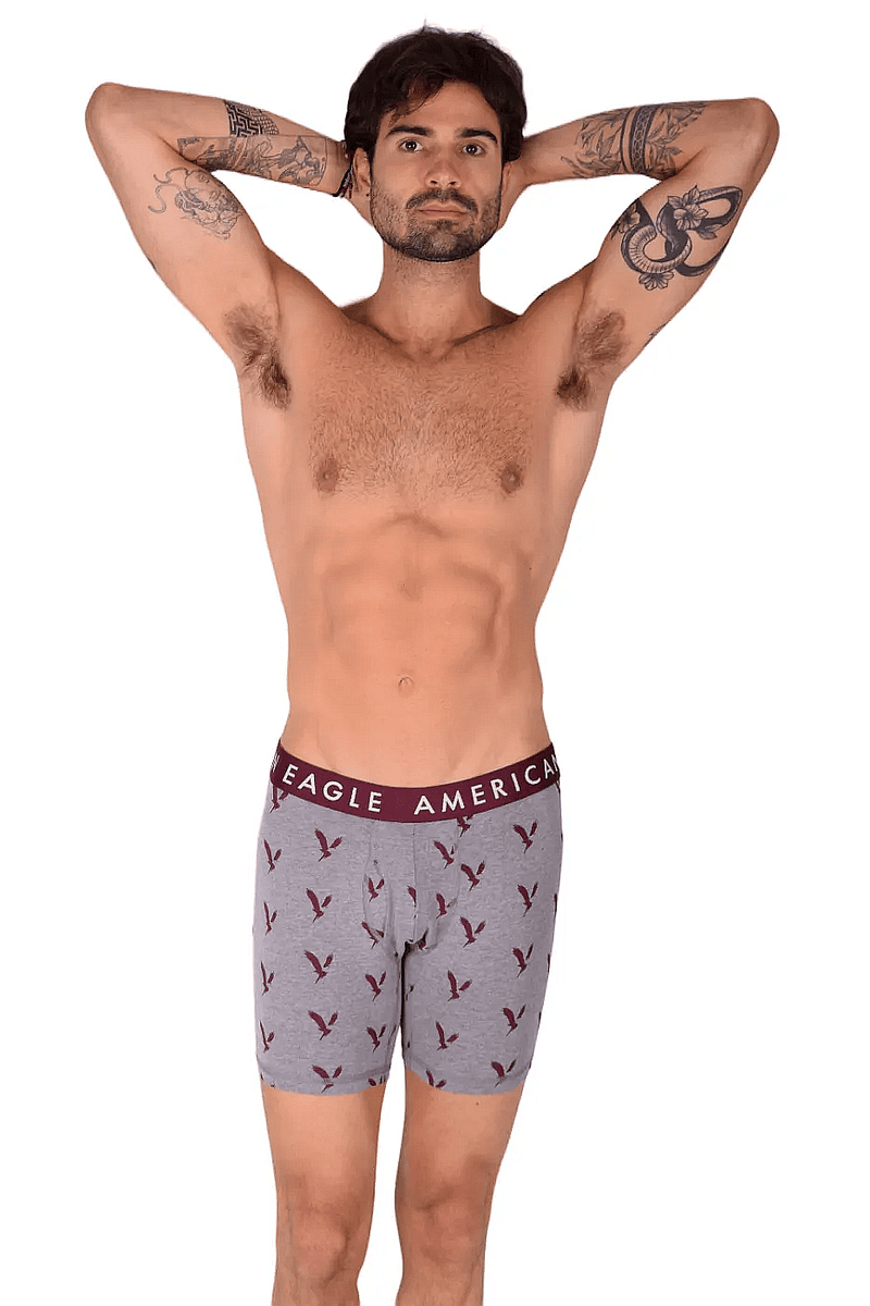 American Eagle Grey Eagles Fly Front Boxer Brief AE12