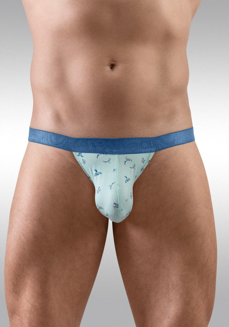 ErgoWear Bikini Brief SLK SE Micro Mesh Tanga Briefs in Blue Frost Birds 1777 843
