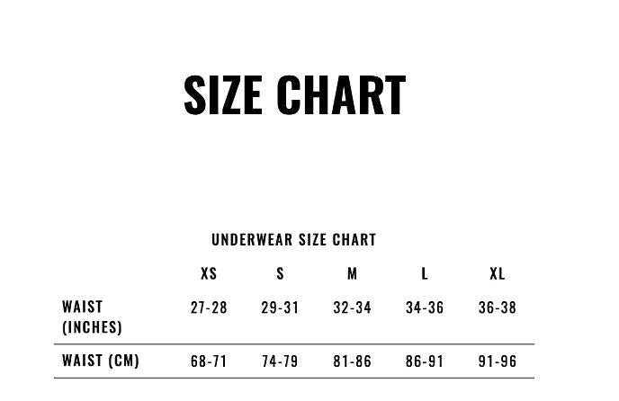 Gregg Homme Thong SLINGSHOT With Detachable Clips Sheer Thongs Aqua 200204 G464