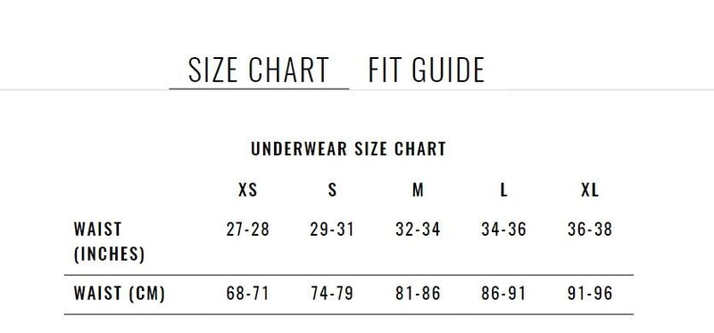 Large Duo - Pack Two Brief Gregg Homme 3G Dynamo Briefs 56603 73A5