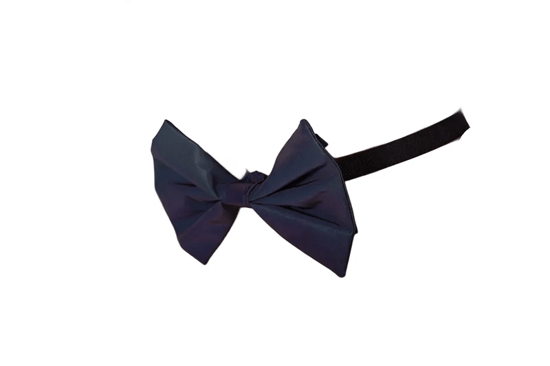 MR. RIEGILLIO Beautiful Bow Tie BLUE 12