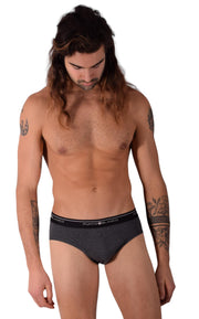 Punto Blanco Small Briefs Basix 53489-10 Grey P5