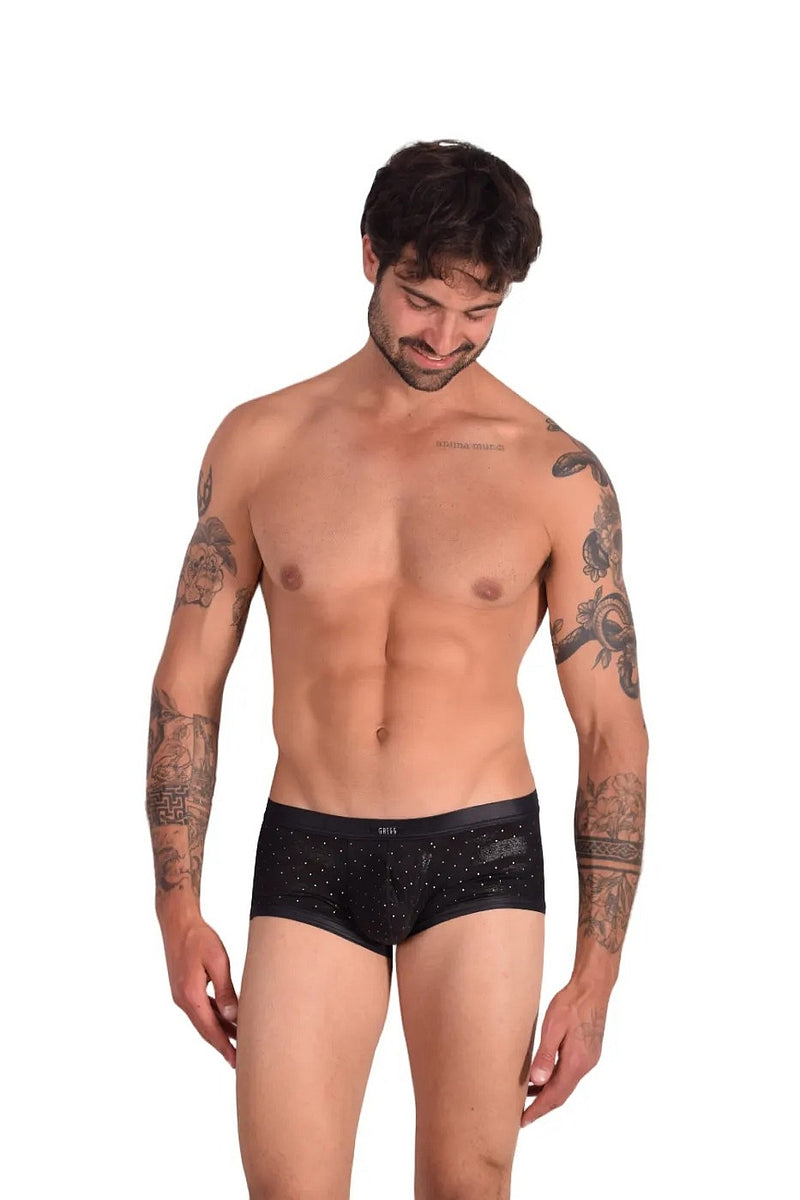 Boxer briefs Gregg Homme Adonis 1100 11-36