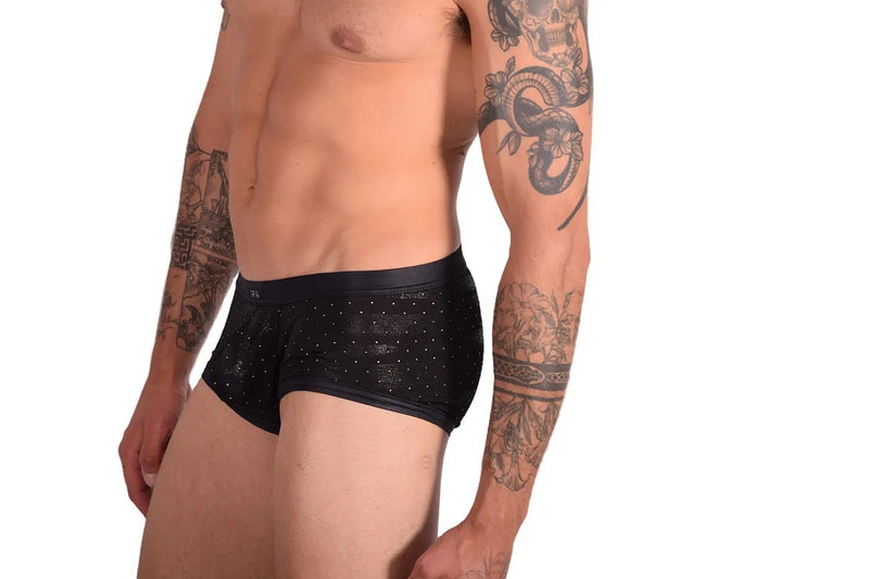 Boxer briefs Gregg Homme Adonis 1100 11-36