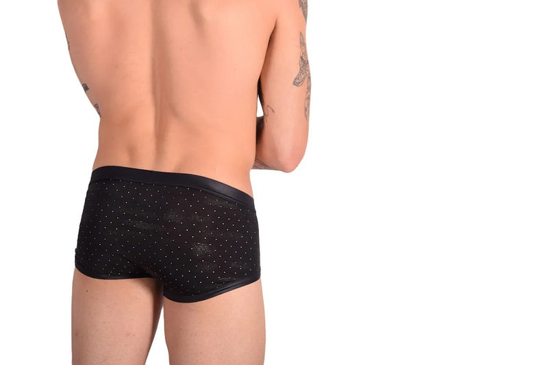 Boxer briefs Gregg Homme Adonis 1100 11-36