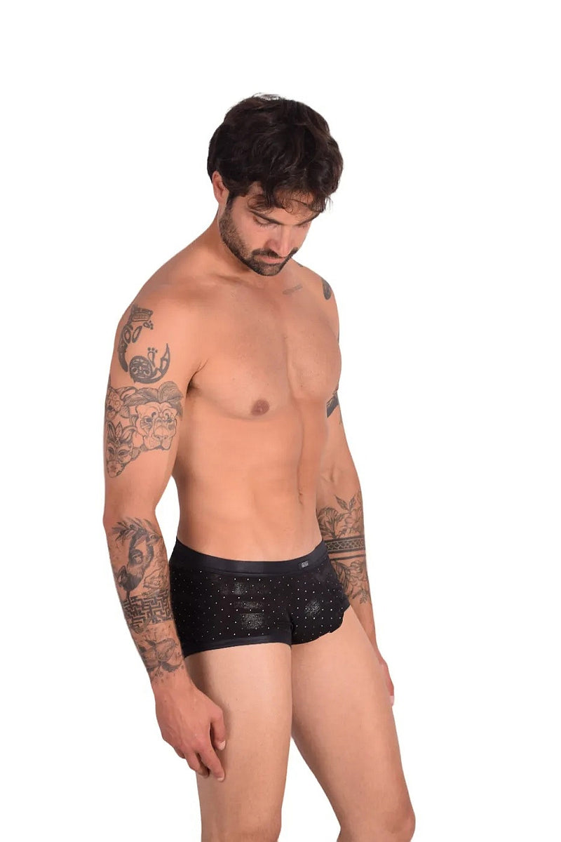 Boxer briefs Gregg Homme Adonis 1100 11-36