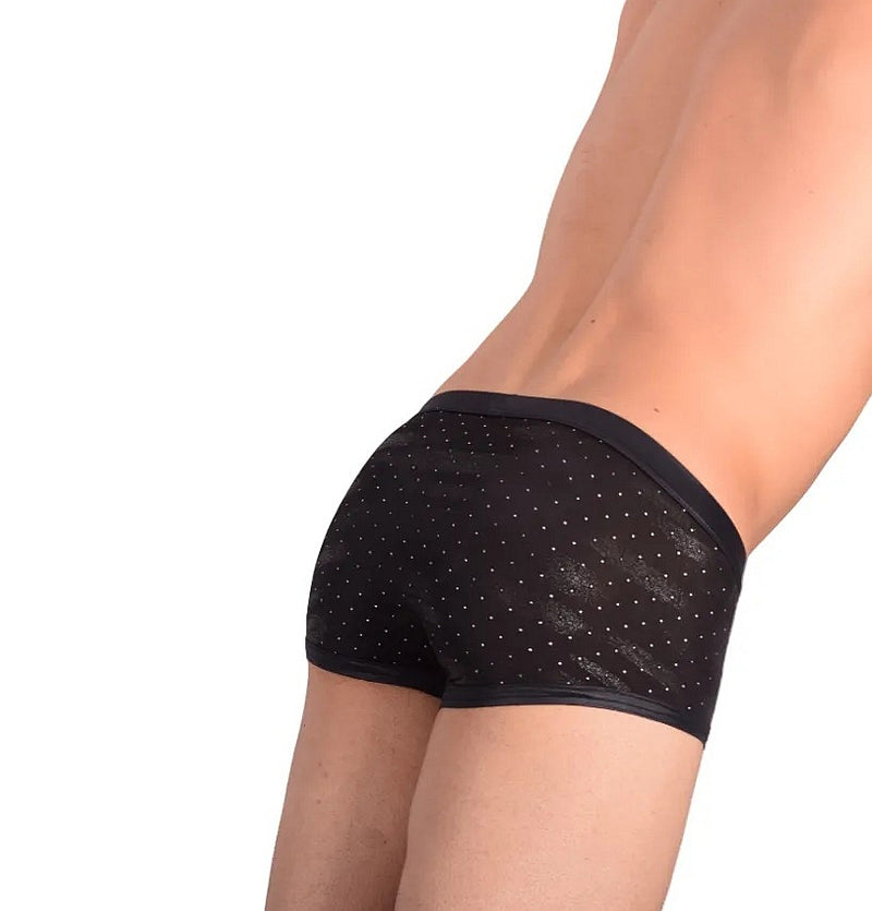 Boxer briefs Gregg Homme Adonis 1100 11-36