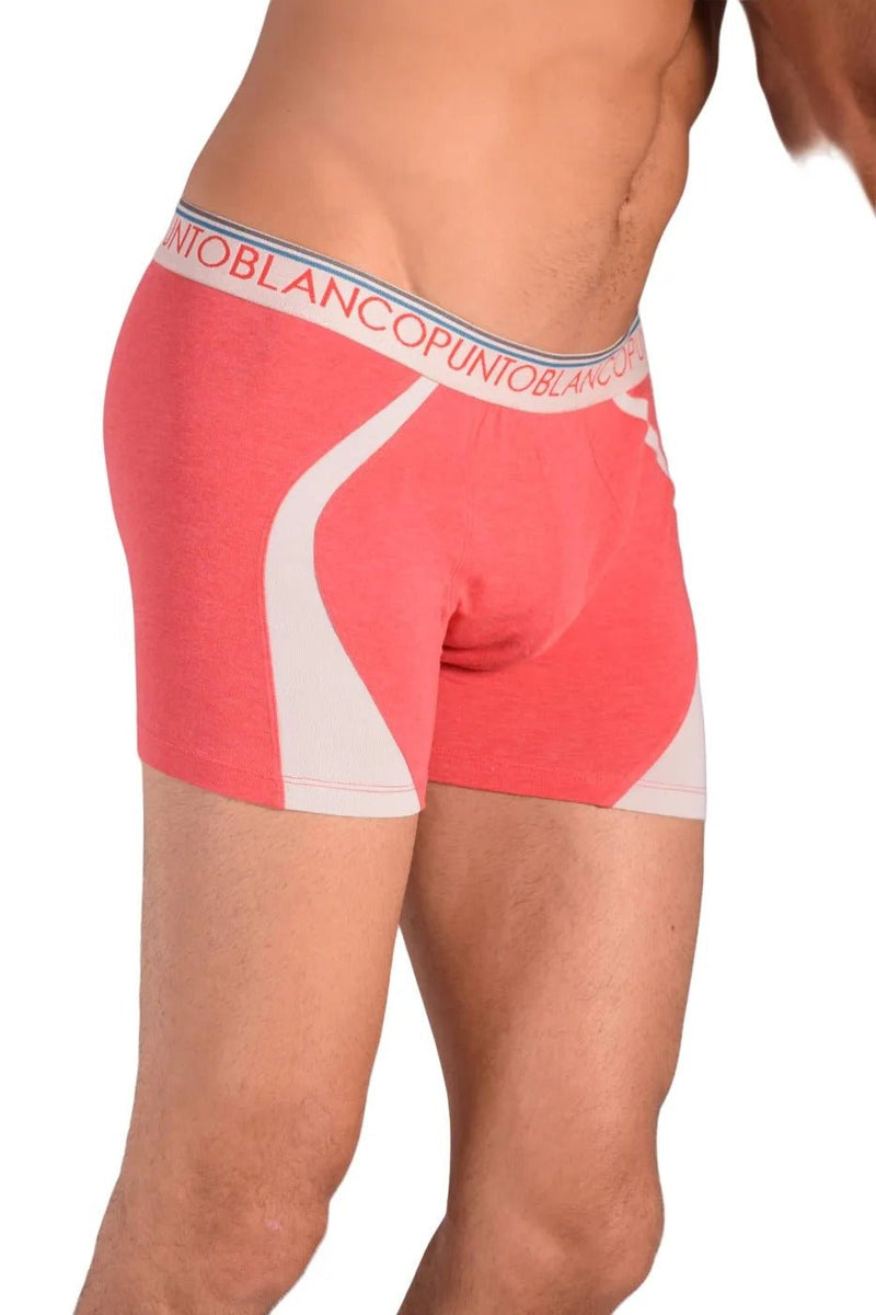 Small Cotton Boxer Punto Blanco 33079 - 884 166
