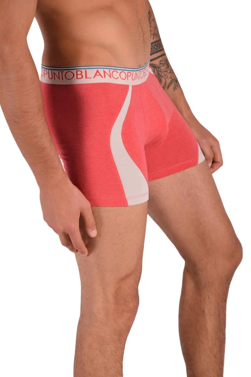 Small Cotton Boxer Punto Blanco 33079 - 884 164