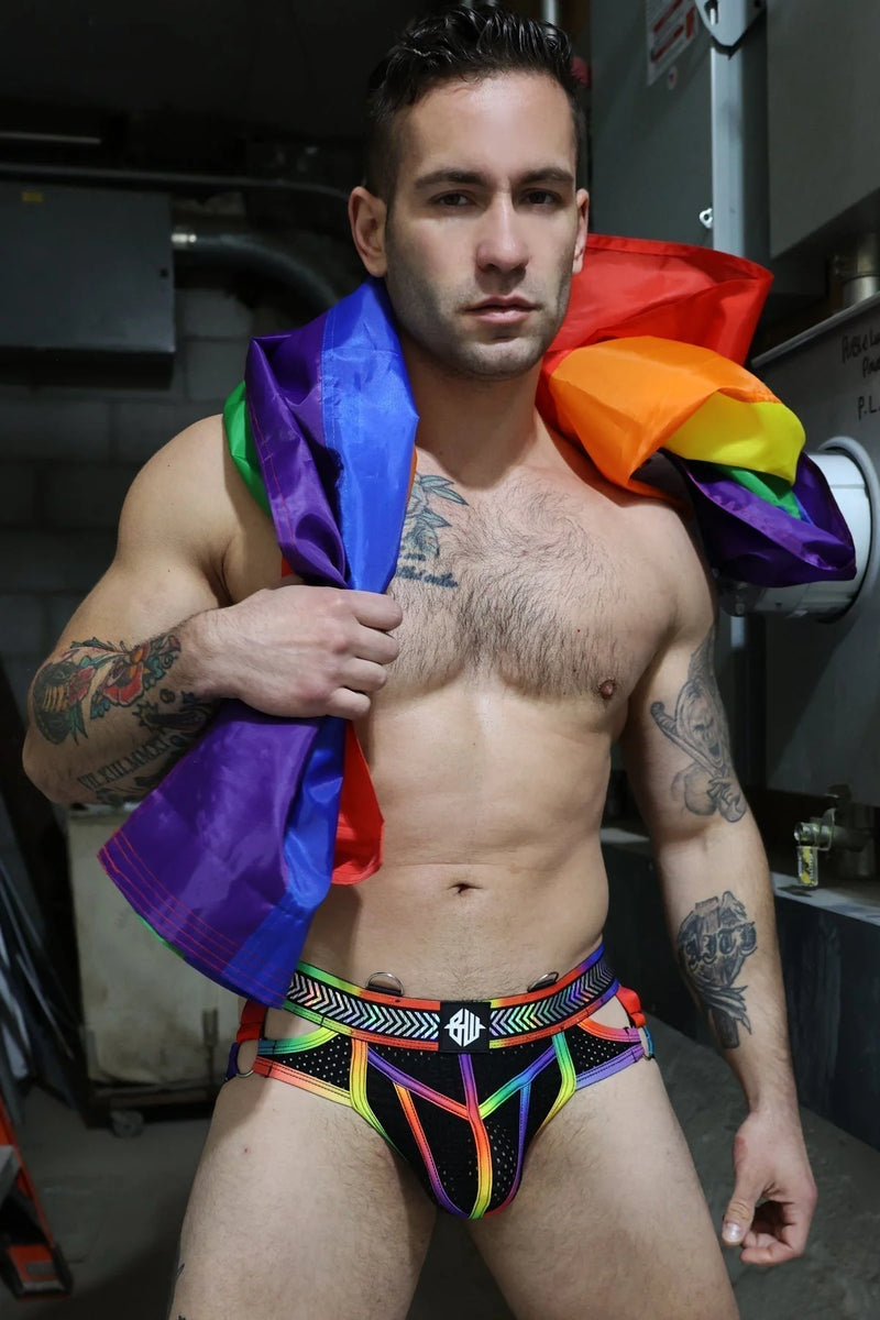 BREEDWELL Pure Pride Briefs Holographic Foil Rainbow Chevron 7