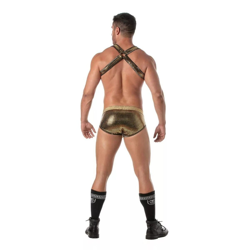 TOF PARIS Glitter Bulldog Elastic Harness Lurex Trim H - Shaped Sparkle Gold 534