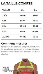 TOF PARIS Lurex X-Harness Magic Elasticated Party X-Shaped in Shiny Gold