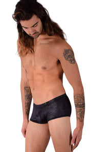 XS Gregg Homme City limit Boxer Brief 122705 2